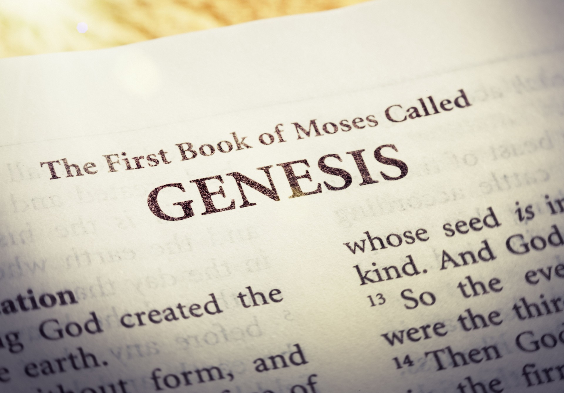 Bible beginnings: the book of Genesis
